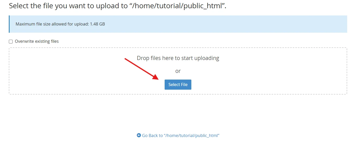select file